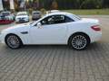 Mercedes-Benz SLK 250 SLK 250 CDI BlueEfficiency (172.403) Weiß - thumbnail 8