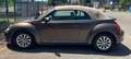 Volkswagen Maggiolino Maggiolino Cabrio Cabrio 2.0 tdi bm Design 110cv Bronzová - thumbnail 5