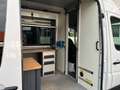 Mercedes-Benz Sprinter II Kasten  L2H2 310 CDI * TÜV neu Weiß - thumbnail 15