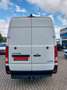 Hyundai H 350 Kasten L3H2 Profi Klima Navi DAB Standheiz. Weiß - thumbnail 11