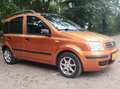 Fiat Panda Fiat Panda 1.2 Nw Apk,Airco,Nw Dist.r Orange - thumbnail 1