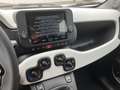 Fiat Panda Pandina Hybrid 70 Cross Weiß - thumbnail 11