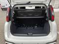 Fiat Panda Pandina Hybrid 70 Cross Weiß - thumbnail 6