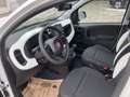 Fiat Panda Pandina Hybrid 70 Cross Weiß - thumbnail 7