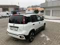 Fiat Panda Pandina Hybrid 70 Cross Weiß - thumbnail 4
