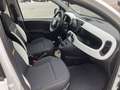 Fiat Panda Pandina Hybrid 70 Cross Weiß - thumbnail 13