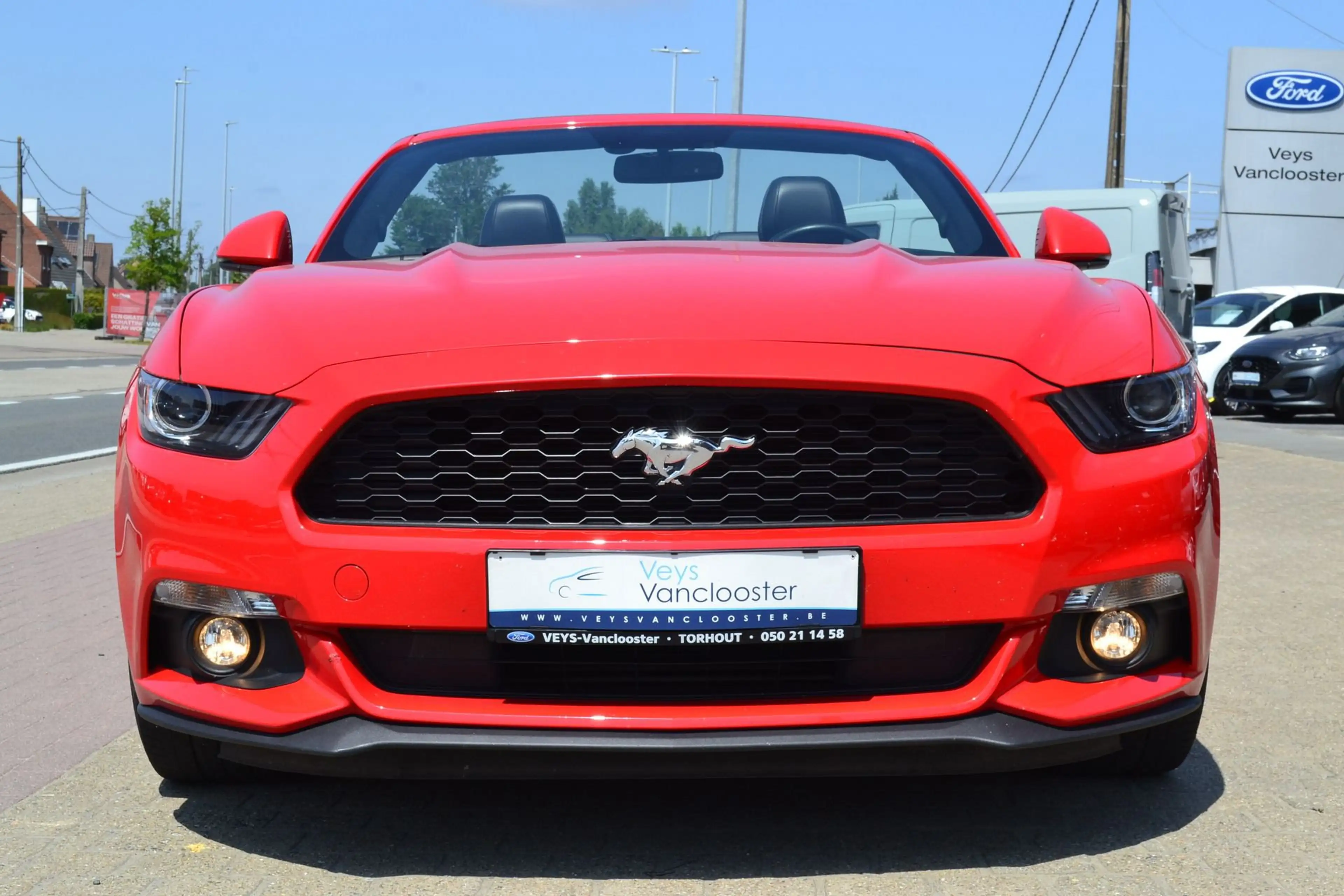 Ford Mustang Cabrio 2.3i — photo 2