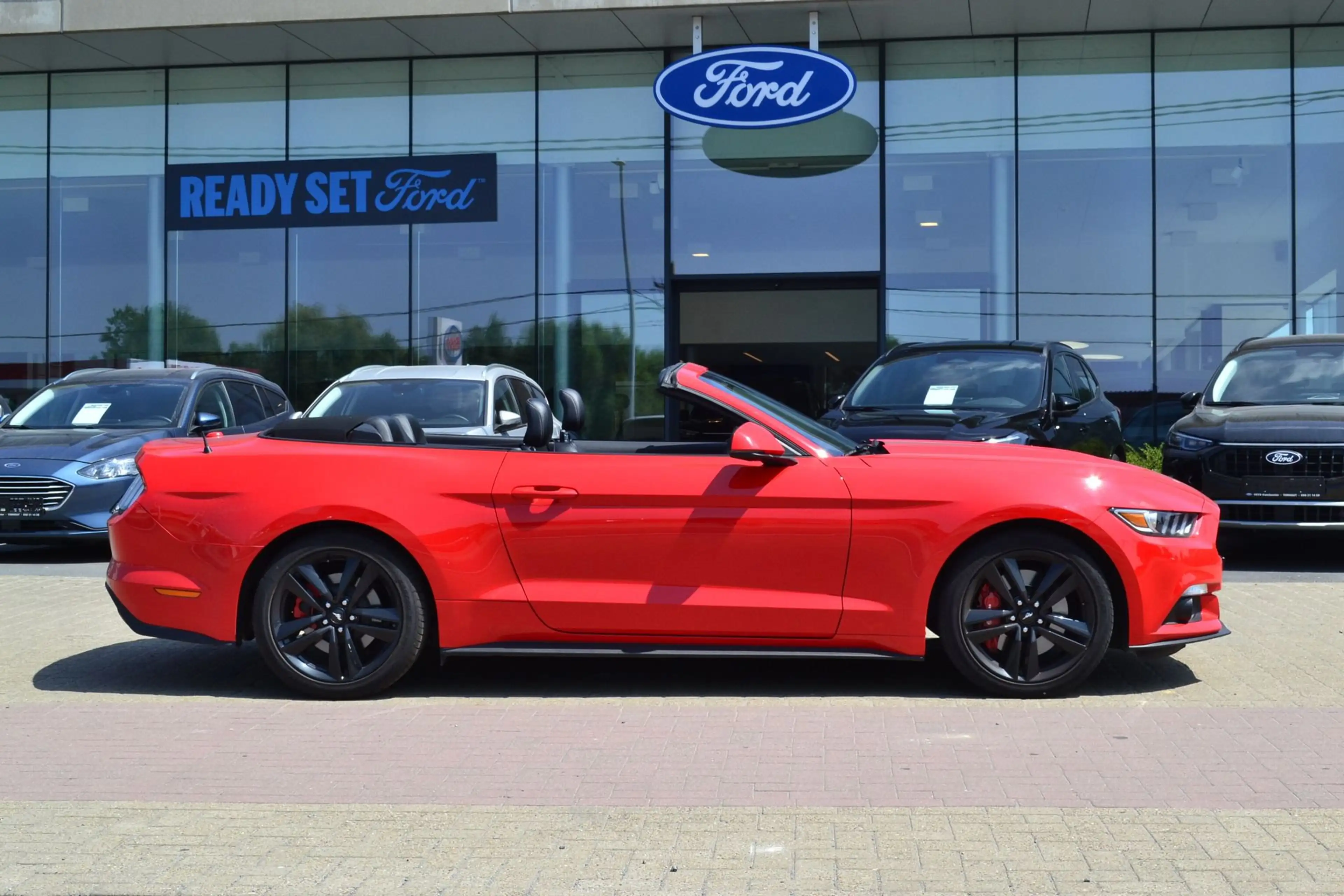 Ford Mustang Cabrio 2.3i — photo 8
