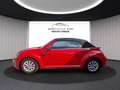 Volkswagen Beetle Beetle 1.2 TSI Design BMT, BiXenon, SHZ, Temp. Schwarz - thumbnail 7