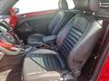 Volkswagen Beetle Beetle 1.2 TSI Design BMT, BiXenon, SHZ, Temp. Schwarz - thumbnail 15