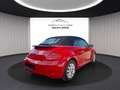 Volkswagen Beetle Beetle 1.2 TSI Design BMT, BiXenon, SHZ, Temp. Schwarz - thumbnail 4