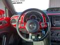Volkswagen Beetle Beetle 1.2 TSI Design BMT, BiXenon, SHZ, Temp. Schwarz - thumbnail 8