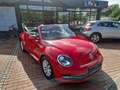 Volkswagen Beetle Beetle 1.2 TSI Design BMT, BiXenon, SHZ, Temp. Schwarz - thumbnail 18
