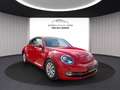Volkswagen Beetle Beetle 1.2 TSI Design BMT, BiXenon, SHZ, Temp. Schwarz - thumbnail 3