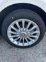 Alfa Romeo MiTo MiTo 2013 1.4 Progression 70cv E6 Beige - thumbnail 10