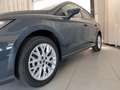 SEAT Ibiza Style 1.0 TSI 95PS Blau - thumbnail 3