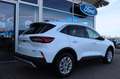 Ford Kuga Titanium 2.5 Plug-in-Hybrid GJR 4,99% FIN* Weiß - thumbnail 11