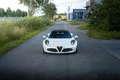 Alfa Romeo 4C 4C Spider 1750 tbi Bianco - thumbnail 1