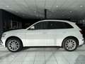 Audi Q5 2.0TFSI Qu. *S-LINE+*R-CAM*LEDER*KEY*XEN/LED* Blanc - thumbnail 7