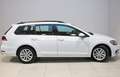 Volkswagen Golf Variant 1.6 TDI 116 CV Comfortline BlueMotion Technology Bianco - thumbnail 6