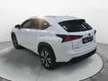 Lexus NX 300h NX Hybrid 4WD F-SPORT Blanc - thumbnail 4
