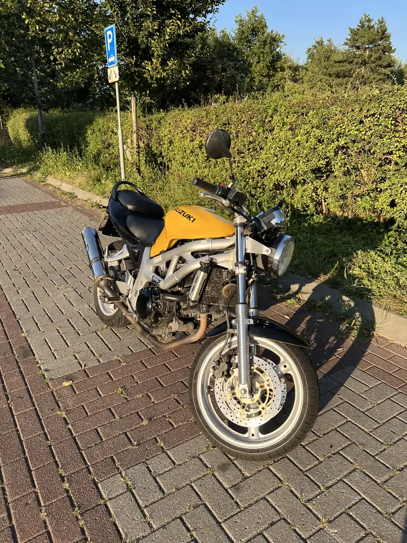Suzuki SV 650 AV Geel - 1