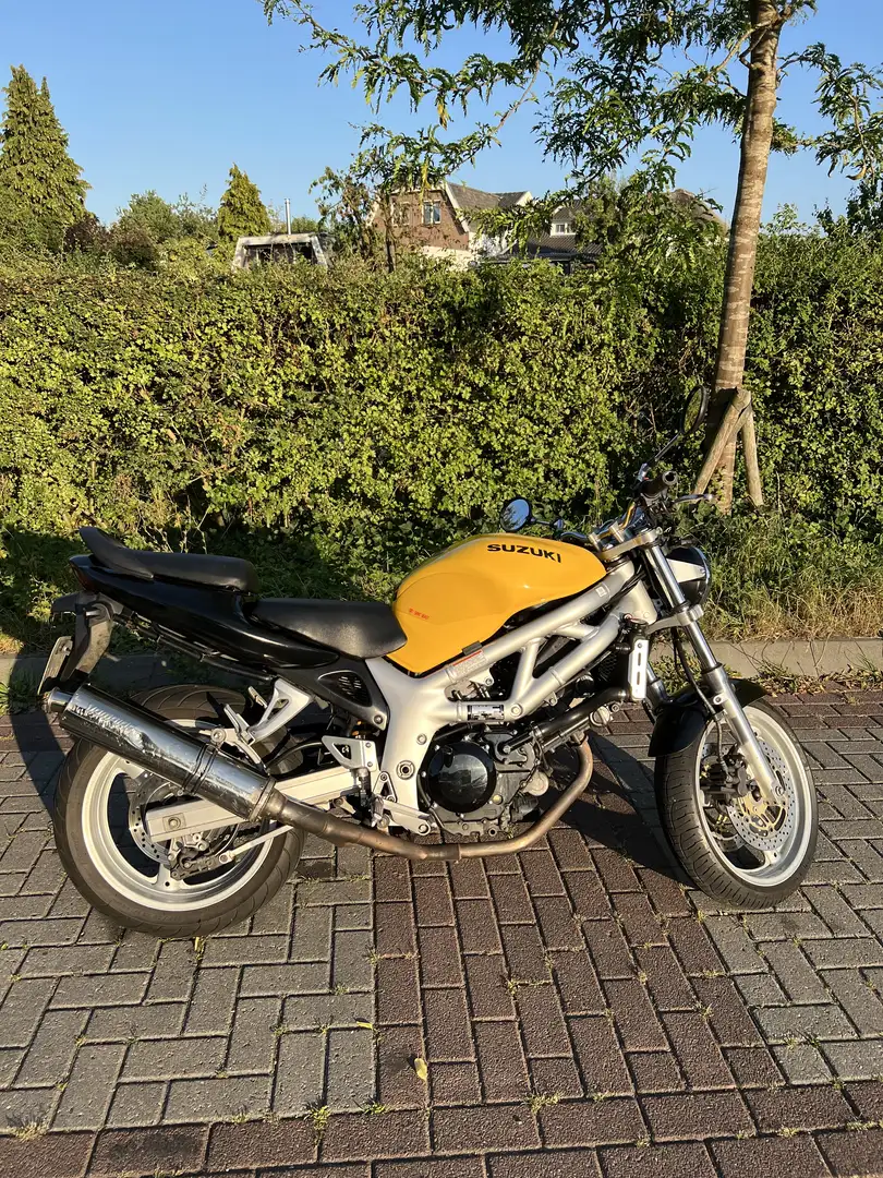 Suzuki SV 650 AV Geel - 2