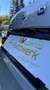 Skoda Octavia 2.0TDI DSG Style *Erstbesitz*Serviceheft*Pickerl* Silber - thumbnail 42