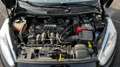 Ford Fiesta Fiesta VI 2013 5p 1.4 Titanium Gpl 92cv Czarny - thumbnail 22