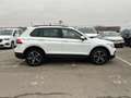 Volkswagen Tiguan Life 1.4 TSI eHybrid 180kW (245CV) DSG Blanco - thumbnail 5