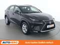 Lexus NX 300h NX 300h E-Four Business Line Schwarz - thumbnail 8