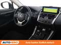 Lexus NX 300h NX 300h E-Four Business Line Schwarz - thumbnail 13