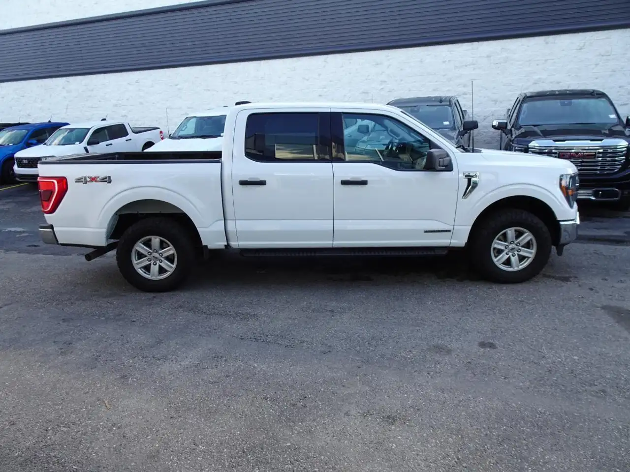 Ford F 150 fotografie Ford F 150