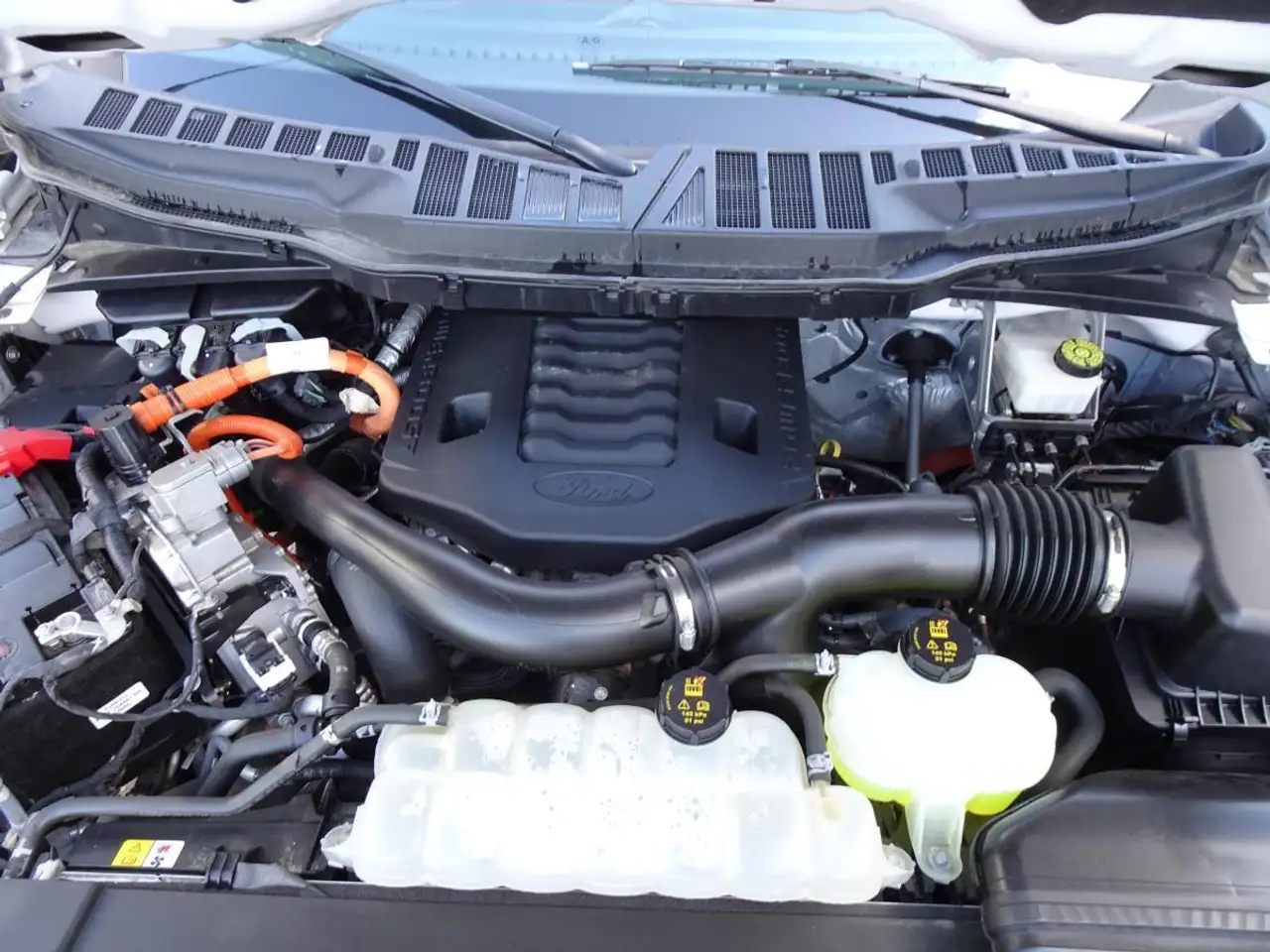 Ford F 150 fotografie Ford F 150