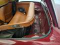 Triumph Stag Oro - thumbnail 23