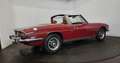 Triumph Stag Oro - thumbnail 4