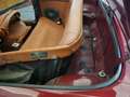 Triumph Stag Oro - thumbnail 20