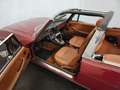 Triumph Stag Oro - thumbnail 5