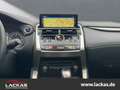 Lexus NX 300h EXECUTIVE*SHZ*PANO*NAVI*15 JAHRE GARANTIE Silber - thumbnail 14