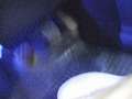 Mazda CX-7 2.2 mzr-cd Sport Tourer - thumbnail 8