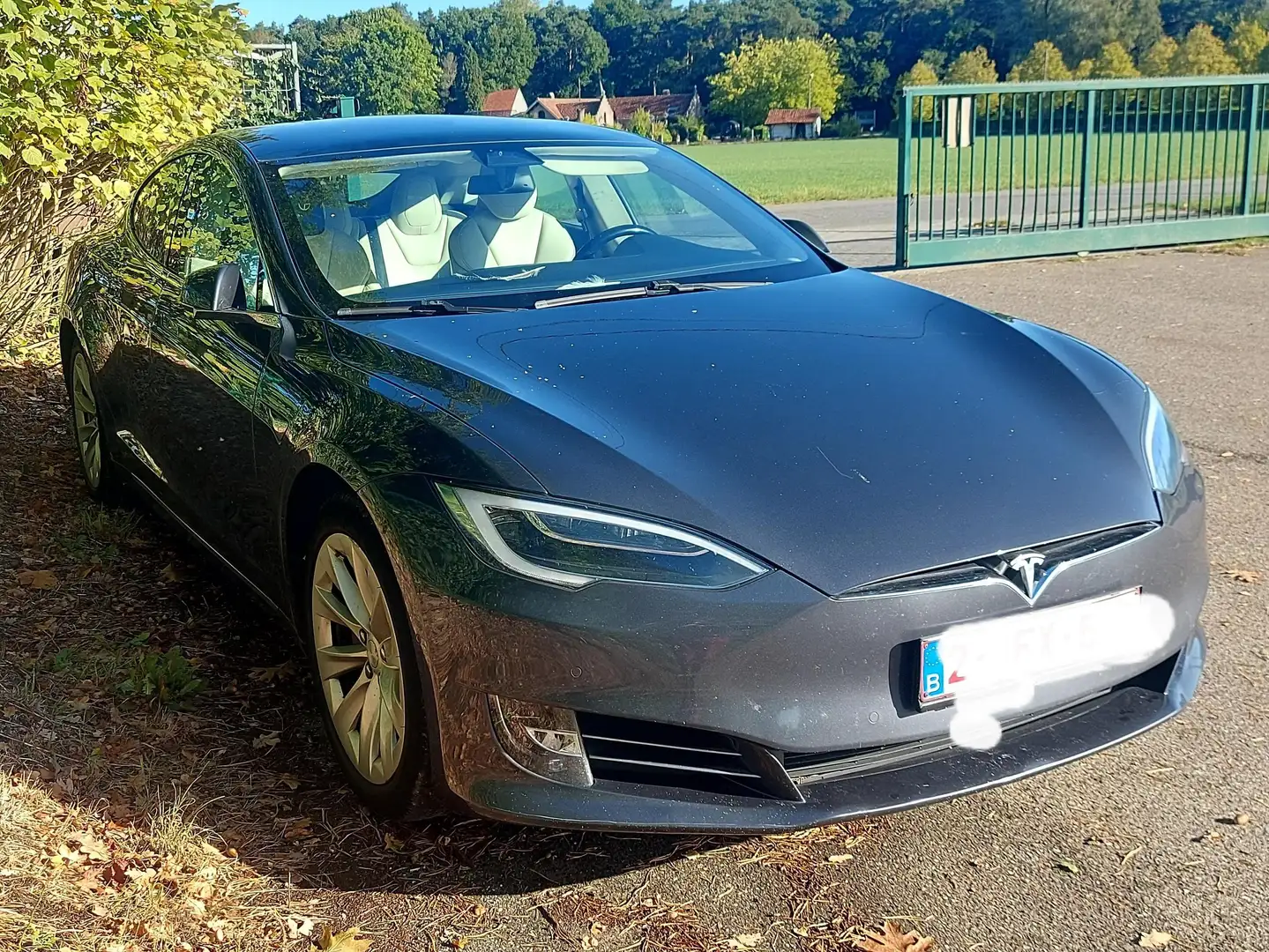 Tesla Model S Model S 100D Allradantrieb Gris - 1