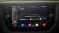 SEAT Ibiza 1.0 TSI FR Beats *ACC*Navi*Kamera*LED* Weiß - thumbnail 12