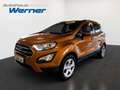 Ford EcoSport Navi/ Winterpaket Naranja - thumbnail 1