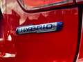 Suzuki Ignis Top **POSS.PACK MEDIA**VED.NOTE Rosso - thumbnail 9
