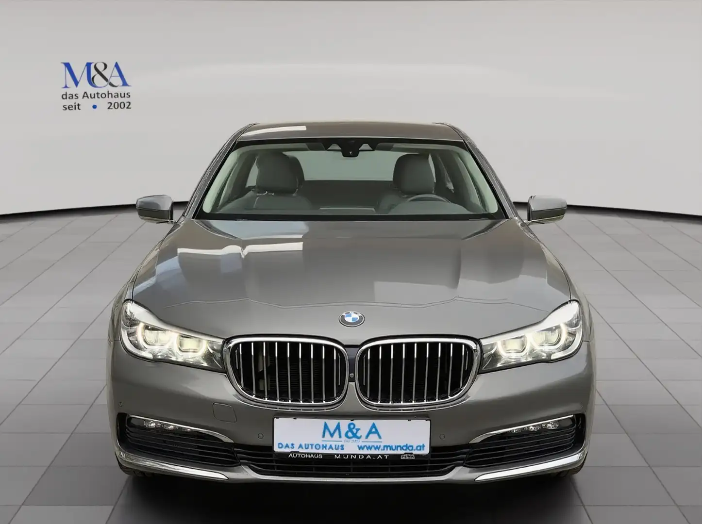 BMW 730 7er Gris - 2