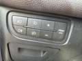 Fiat Punto Evo Punto III 2009 Evo 5p 1.3 mjt Emotion s Grau - thumbnail 14