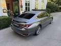 Lexus ES 300 300h Preference Line Business Grau - thumbnail 3
