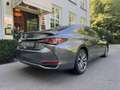 Lexus ES 300 300h Preference Line Business Grau - thumbnail 11