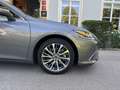 Lexus ES 300 300h Preference Line Business Grau - thumbnail 4