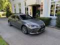 Lexus ES 300 300h Preference Line Business Grau - thumbnail 1